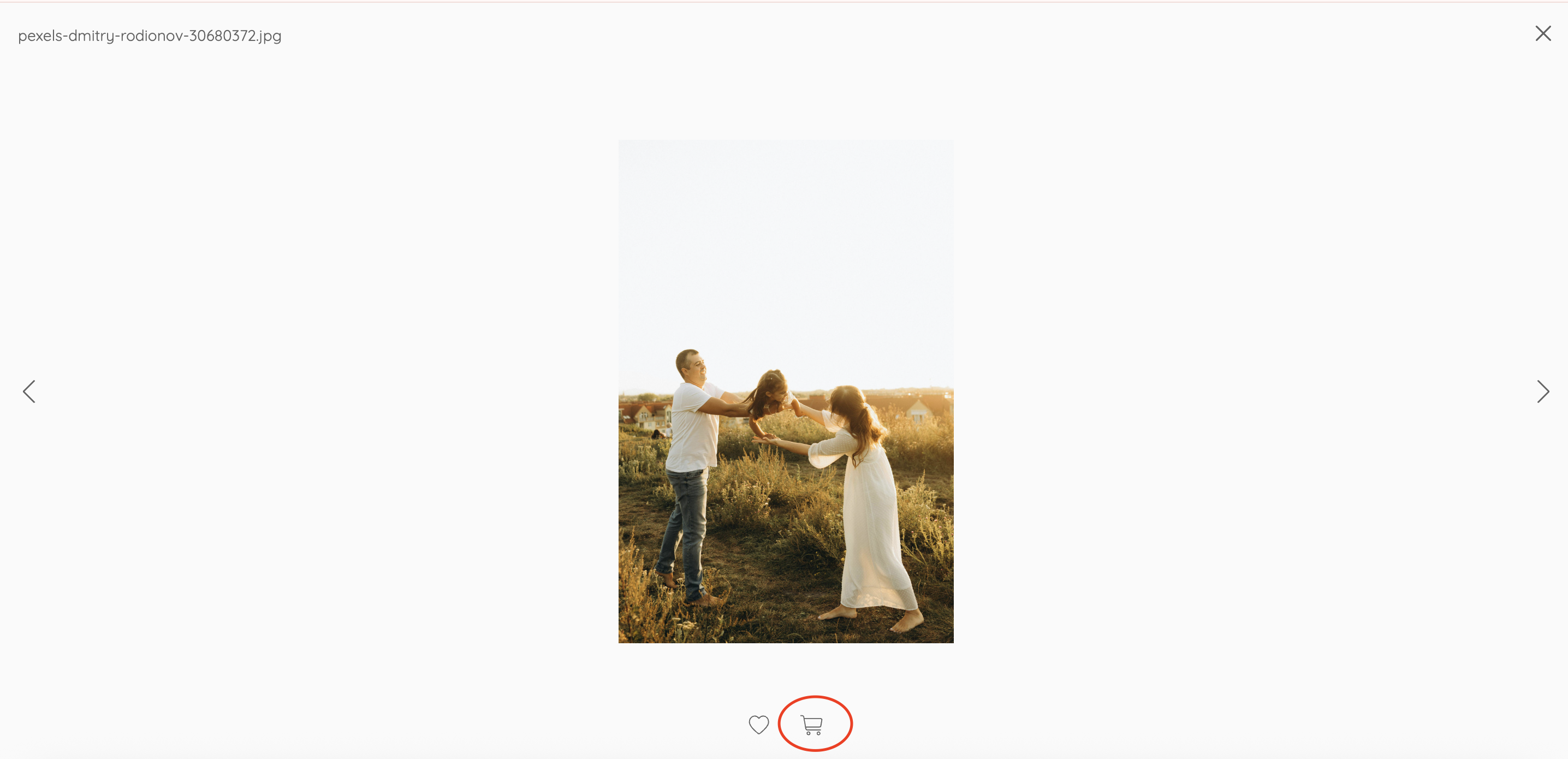 Screenshot 2026-04-08 at 4.33.43 PM.png